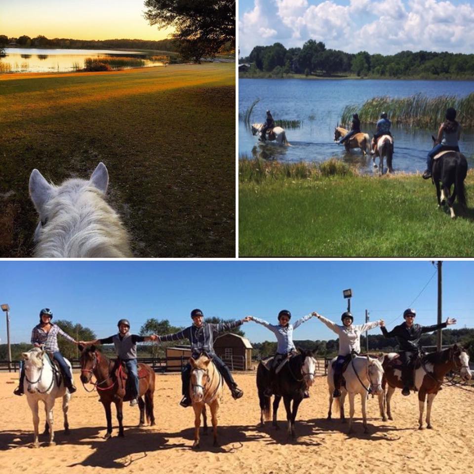 Trail Riding