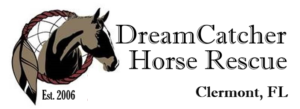 DreamCatcher Horse Rescue