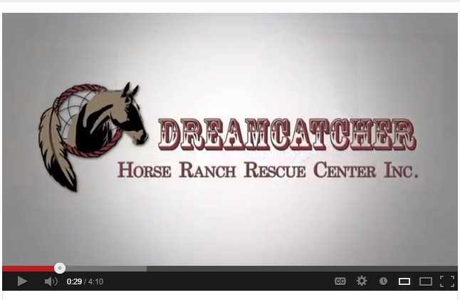 DreamCatcher Video